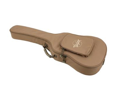 Đàn Guitar Taylor A10E